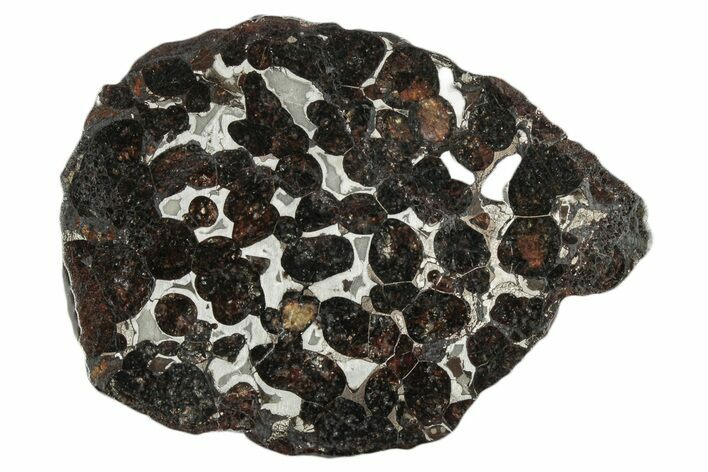Sericho Pallasite Meteorite ( g) Slice - Kenya #346478